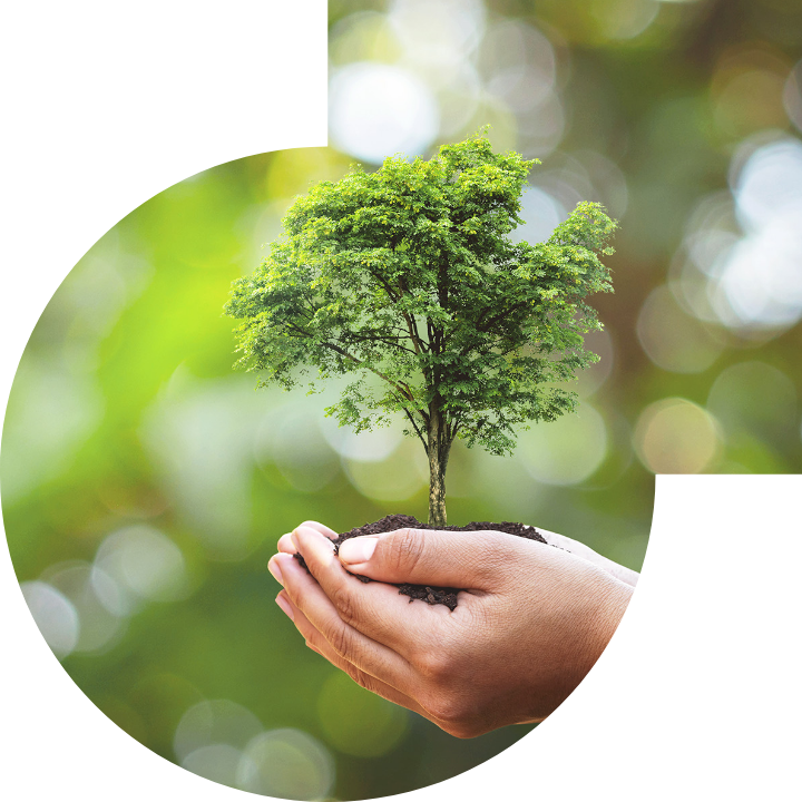 关怀人类、文化、环境与社会